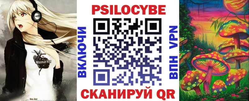 Купить  Грозный  Галлюциногенные грибы MAGIC MUSHROOMS 